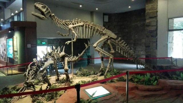 自贡恐龙